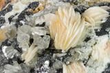 Cerussite Crystals with Bladed Barite on Galena - Morocco #165737-2